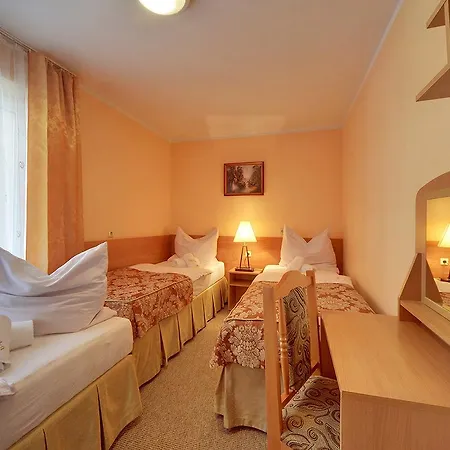 Arnika 3*